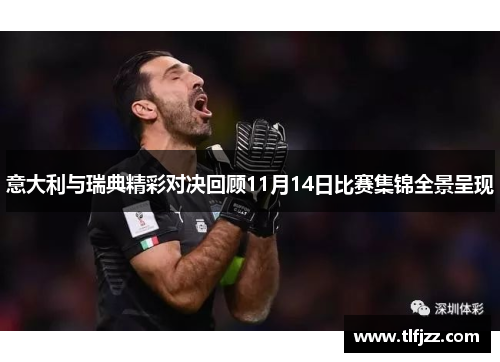 意大利与瑞典精彩对决回顾11月14日比赛集锦全景呈现